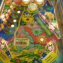 Wood's Queen Pinball Machine